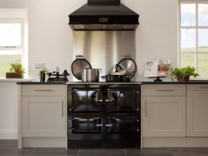 Surrey stove specialist