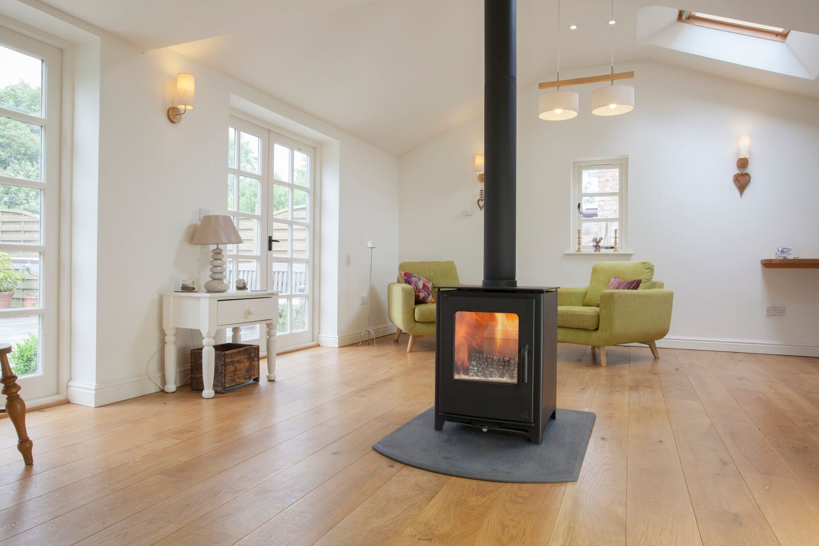 Surrey multi fuel stoves