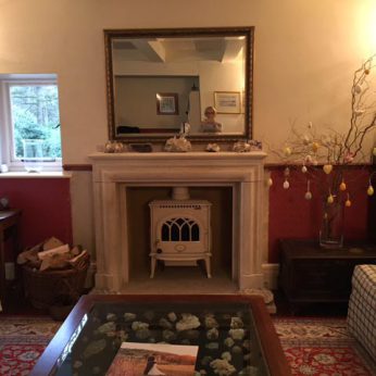 Jotul F3 Multifuel Wood burner
